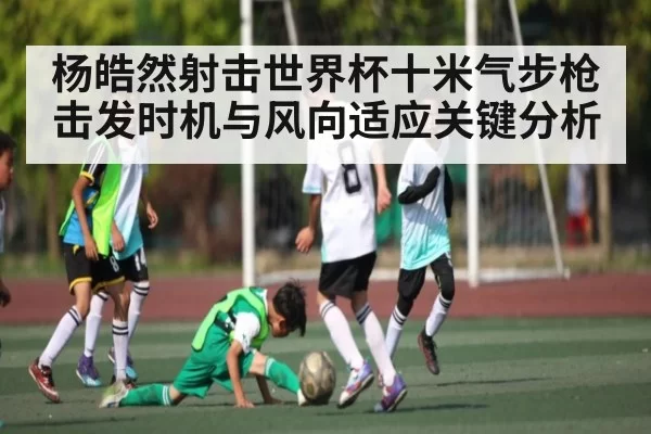 杨皓然射击世界杯十米气步枪击发时机与风向适应关键分析